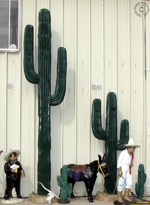 Cactus Small, Medium & Large