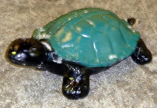 Turtle #5 Baby