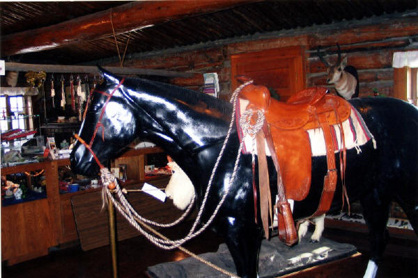 Quarter Horse - Displayed at Yellowstone County Museum
